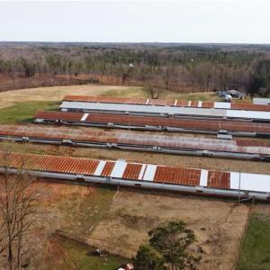 Photo #33 of 23381 Genito Rd, Amelia, VA 34.9 acres