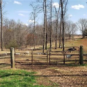Photo #43 of 23381 Genito Rd, Amelia, VA 34.9 acres
