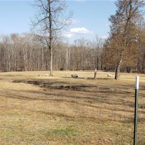 Photo #46 of 23381 Genito Rd, Amelia, VA 34.9 acres