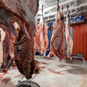 Photo #59 of 1040 Deuprees Store Rd., Drakes Branch, VA 18.0 acres