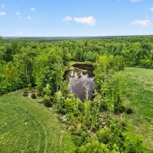 Photo #75 of 1040 Deuprees Store Rd., Drakes Branch, VA 18.0 acres