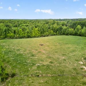 Photo #77 of 1040 Deuprees Store Rd., Drakes Branch, VA 18.0 acres