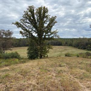 Photo #11 of 775 Cobbs Rd., Arvonia, VA 201.0 acres