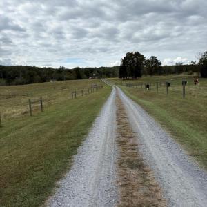Photo #21 of 775 Cobbs Rd., Arvonia, VA 201.0 acres