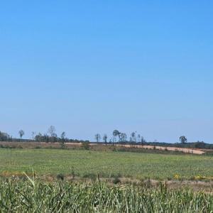 Photo #13 of Glenmore Road, Scottsville, VA 1,202.0 acres