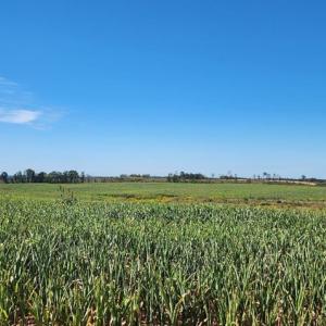 Photo #15 of Glenmore Road, Scottsville, VA 1,202.0 acres