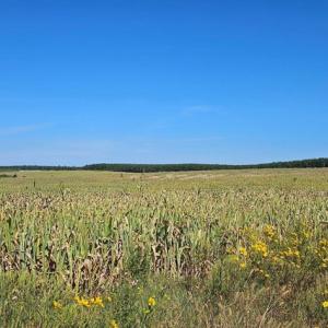 Photo #17 of Glenmore Road, Scottsville, VA 1,202.0 acres