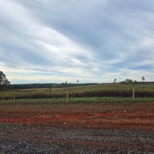 Photo #19 of Glenmore Road, Scottsville, VA 1,202.0 acres