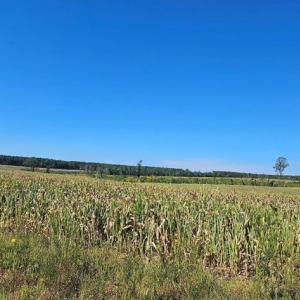 Photo #20 of Glenmore Road, Scottsville, VA 1,202.0 acres