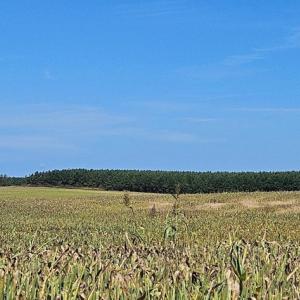Photo #24 of Glenmore Road, Scottsville, VA 1,202.0 acres