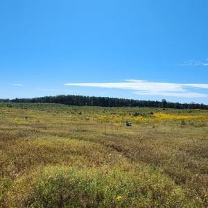 Photo #26 of Glenmore Road, Scottsville, VA 1,202.0 acres
