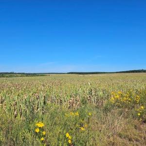 Photo #7 of Glenmore Road, Scottsville, VA 1,202.0 acres
