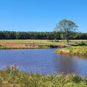Photo #9 of Glenmore Road, Scottsville, VA 1,202.0 acres