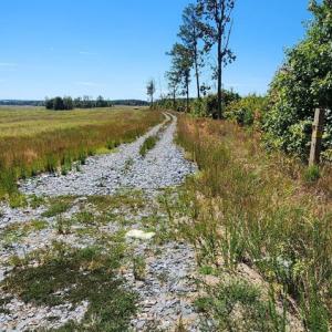 Photo #11 of Glenmore Road, Scottsville, VA 1,202.0 acres