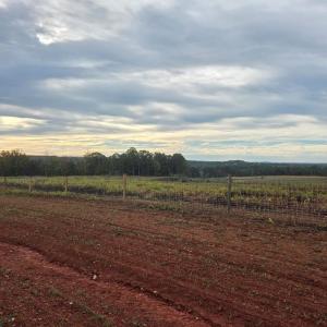 Photo #14 of Glenmore Road, Scottsville, VA 1,202.0 acres