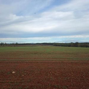 Photo #2 of Glenmore Road, Scottsville, VA 1,202.0 acres
