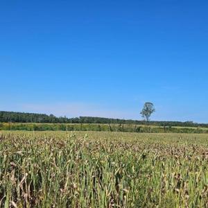 Photo #34 of Glenmore Road, Scottsville, VA 1,202.0 acres