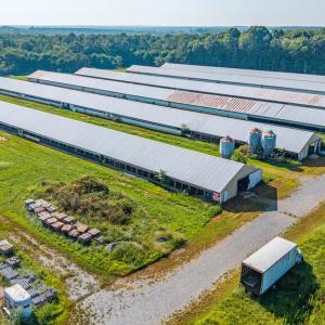 Photo #24 of 21 Vanderpool Lane, Cumberland, VA 108.0 acres