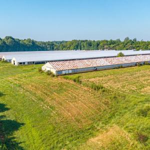 Photo #28 of 21 Vanderpool Lane, Cumberland, VA 108.0 acres
