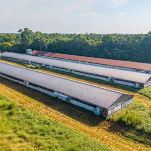 Photo #44 of 21 Vanderpool Lane, Cumberland, VA 108.0 acres
