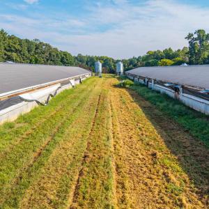 Photo #45 of 21 Vanderpool Lane, Cumberland, VA 108.0 acres
