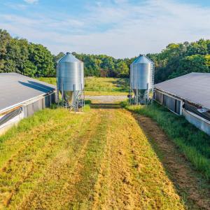 Photo #46 of 21 Vanderpool Lane, Cumberland, VA 108.0 acres