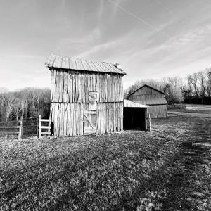 Barn Black & White