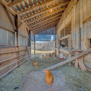 054-MIB06475