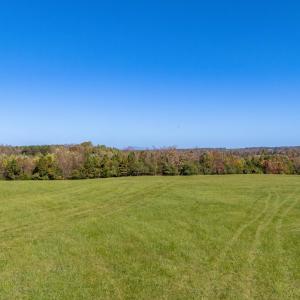 03-Wilson Church Rd_03