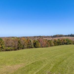 06-Wilson Church Rd_06