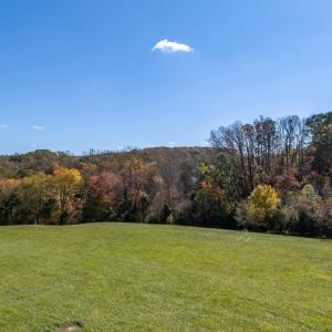 07-Wilson Church Rd_07