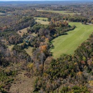 10-Wilson Church Rd_10