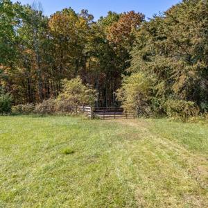 20-Wilson Church Rd_20