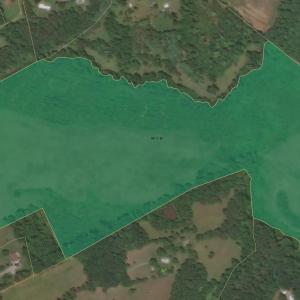 22-Wilson Church Rd_22