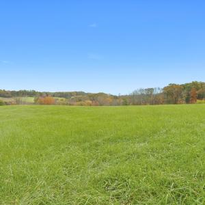 24-Wilson Church Rd reshoot_02