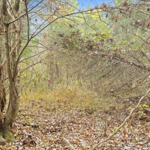 25-Wilson Church Rd reshoot_03