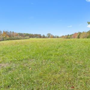 26-Wilson Church Rd reshoot_04