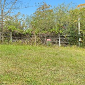 27-Wilson Church Rd reshoot_05