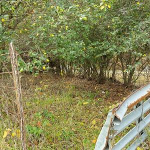 28-Wilson Church Rd reshoot_06