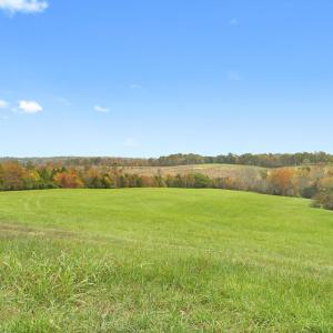 29-Wilson Church Rd reshoot_07