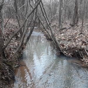 33-thumbnail_20250202_112600