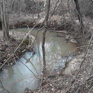 34-thumbnail_20250202_112715