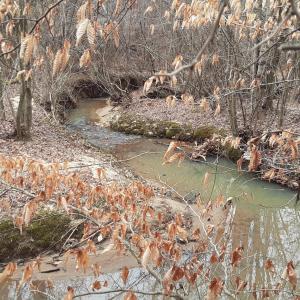 35-thumbnail_20250202_112752