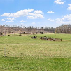Pasture and Pond