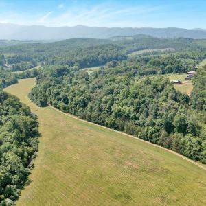 More Pasture Land