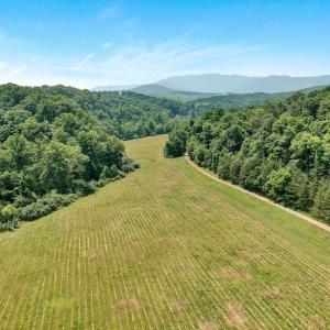 Pasture Land