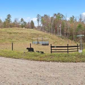 45-Bear Hollow Trail_01