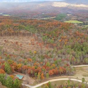 40-Bear Hollow Trail_04