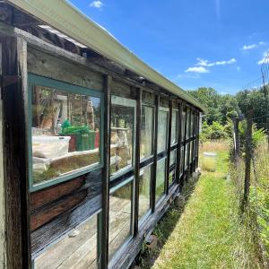 Glass Potting She Studio