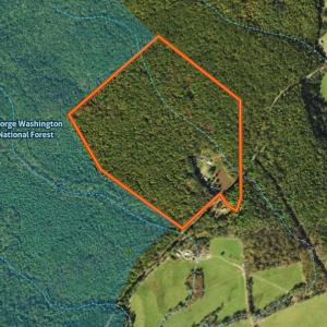 Map - Aerial with Natl Forest